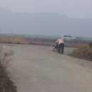 성하경로당 이미지