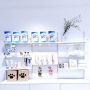 비비퍼피 강아지분양 일산점 이미지