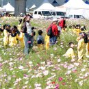 전라남도, 가을축제 연계 남도여행 베스트10 선정 발표 이미지