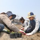 일대농장(1) 이미지