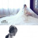 강남잉꼬결혼 이미지