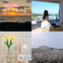 소울스테이 | 제주 여행 제주도 애월 감성 숙소 추천 놀만한곳