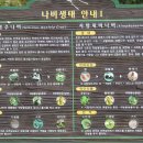 안개꽃정원 이미지