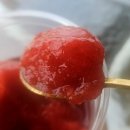 하이플랜츠 | 강릉 반려식물카페_하이플랜츠