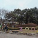 신비한동물원 이미지