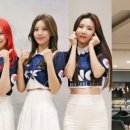 네온 이미지
