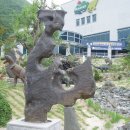 계룡산자연사박물관 이미지