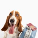 연두동물병원 이미지