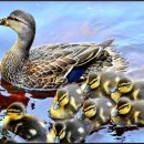 복이오리 이미지