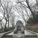 여수여행/ 강아지와 함께한 부부동반여행 (명동게장, 피읖카페, 향일암, 낭만포차, 창시옥해장국, 바다...