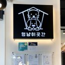멍냥이 곳간 이미지