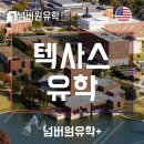 UNT컨설팅 | 텍사스유학 미국 텍사스주립대 국내 준비 과정