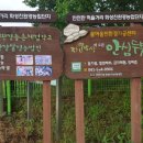 물여울마을 이미지