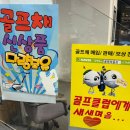 김초보의 색소폰 따라하기 | 포항 입문용 초보 골프채 테일러메이드 80만원 풀세트 득템 후기