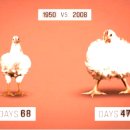 상수축산 이미지