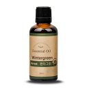 (주)윈터그린 이미지