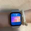 애플유통 | 아이폰 티머니 K패스 사용법 후기(feat.애플워치, 애플페이)