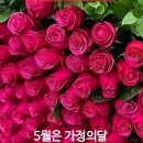 덤덤한 생각으로 생활의 단면만 보니... 이미지