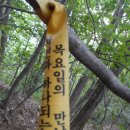 괴산35명산 조봉산 희미한 등산로 알바로 고생하다