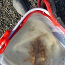 양화황토펜션 이미지