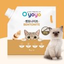 오요요 이미지