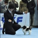 예그리나(Yegrina) 이미지