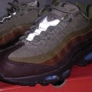 맥스애볼루션 이미지