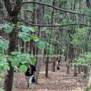 경기둘레길 가평24코스 | 경기둘레길 24코스 (가평) 약18km
