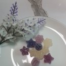 젤리베어 (JELLY BEAR) | 특별한 날 선물하기 좋은 '피에로 구르망 그레이트 베어' 젤리