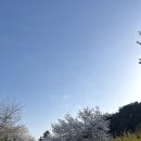 스마일캠핑장 앞 이미지
