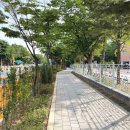 고양백석초등학교 이미지