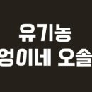 부엉이 떡볶이 이미지