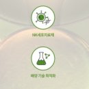 NK기술