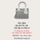 디올 프로포즈백 추천 레이디백 스몰 파우더베이지 후기 색상 비교