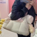 프롬위니 이미지
