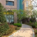 와이약국 이미지