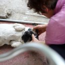 금정농장 이미지