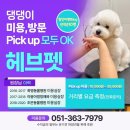 heav.pet 이미지