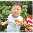 준성농장 이미지