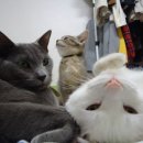 (주)타워호텔 이미지