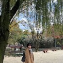 (주)애니설리반학교 | 전 주 이야기!