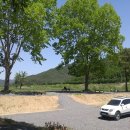 낙동강 레포츠밸리 강변오토캠핑장 이미지