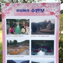 충주 여행 탄금대, 자유시장 중원순대, 수안보 족욕길 족욕체험장