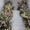 한일빌딩 | 한일커플 온뜰에피움 토탈웨딩 촬영 후기