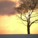 대지사슴농장 이미지