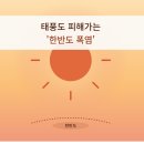 13호 '돌핀'·15호 '찬홈' 태풍도 피해가는 '한반도 폭염' 이미지