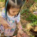 햇빛어린이집 이미지