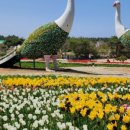반포자이우리부동산중개사무소 | [부동산 전자계약 특징] 국토교통부 부동산 거래 전자계약시스템을 이용한 전자계약, 장점과 단점 한눈...
