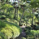 명산한우식육식당 이미지