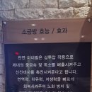 맥스사우나 | 김포찜질방 추천 구래동 맥스사우나 방문후기